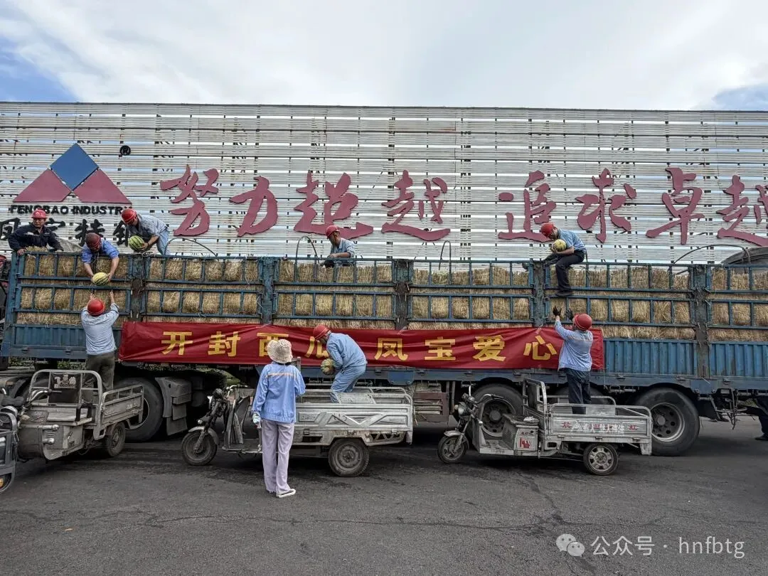 开封西瓜  乐动网站-乐动（中国）一站式服务官方网站
爱心